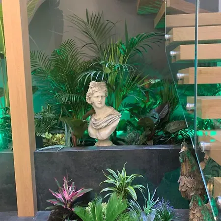 San Fernando 24 科爾多瓦